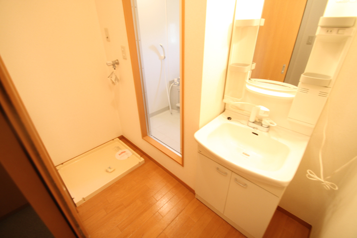 Washroom. A shower wash basin