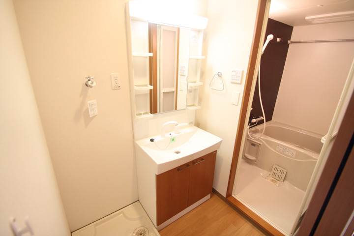 Washroom. A shower wash basin