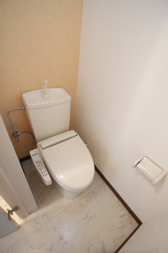 Toilet. Warm water washing heating toilet seat