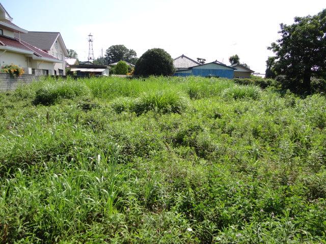 Local land photo