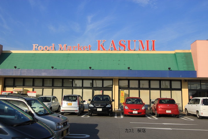 Supermarket. Kasumi Techno Park Sakuraten (super) up to 417m