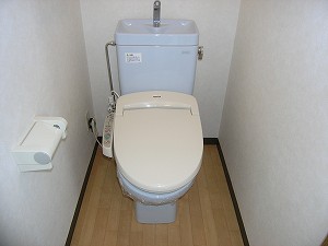 Toilet. Of course with Washlet