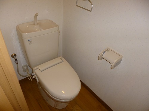 Toilet. Winter warm heating toilet seat function with!
