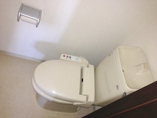 Toilet. Shower toilet