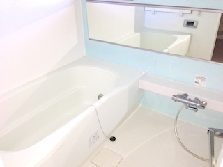 Bath. Spacious bathroom