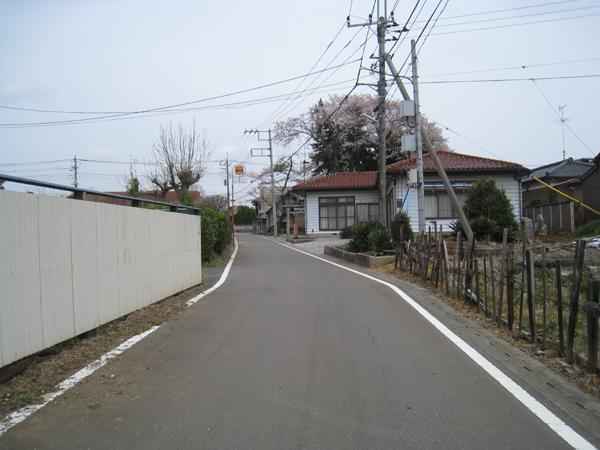 Local photos, including front road. East front road