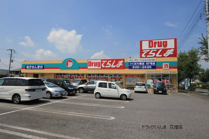 Dorakkusutoa. Uerushia Tsukuba Oho shop 968m until (drugstore)