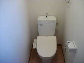 Other. Toilet