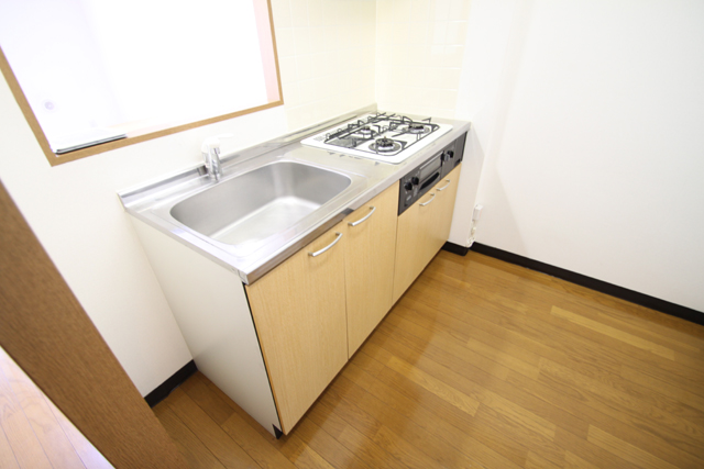 Kitchen. System kitchen