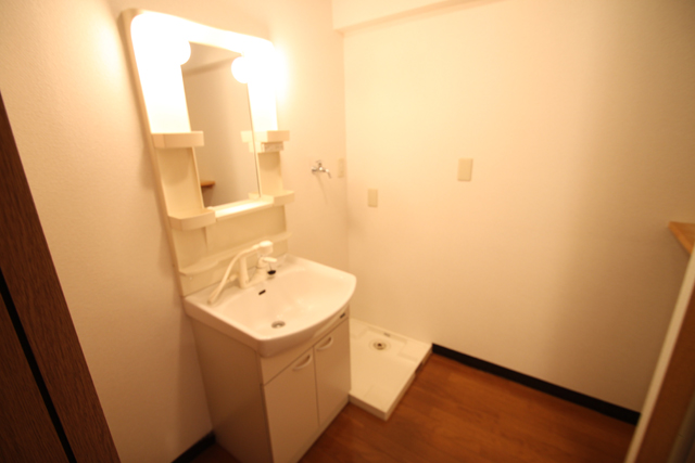 Washroom. A shower wash basin