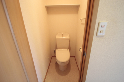 Toilet. Separate toilet. There is a shelf at the top. 