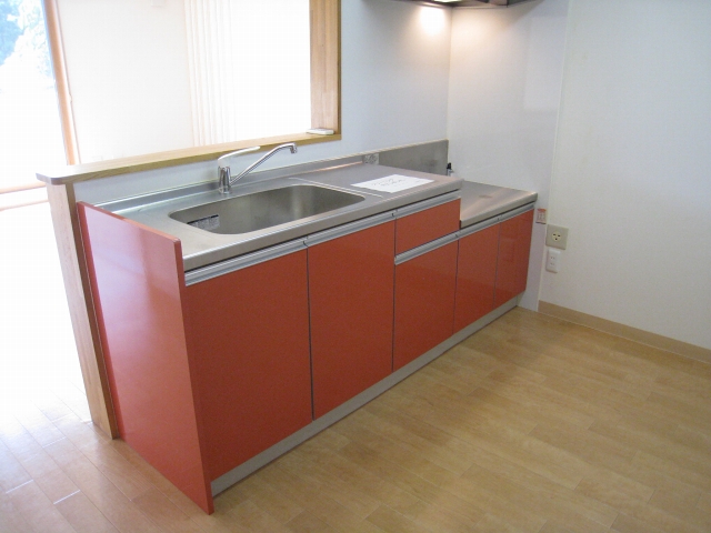 Kitchen. Stationary IH cooking heater and a two-burner gas stove corresponding Kitchen