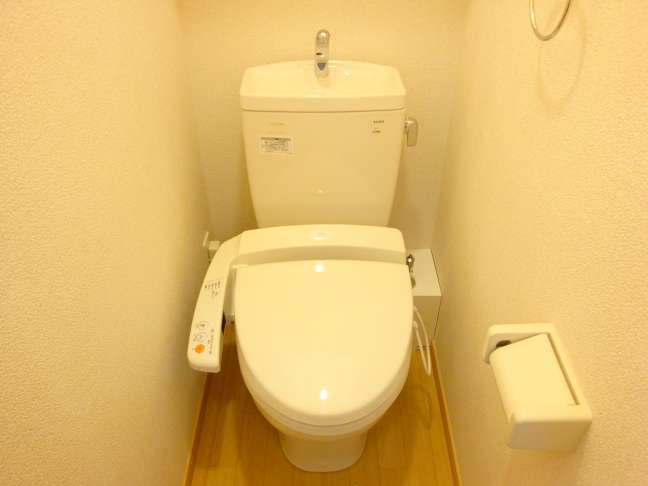 Toilet. It is with a popular warm water cleaning toilet seat! 