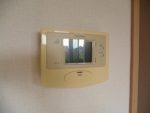 Security. The face of the visitors looks of relief TV Intercom ☆ 