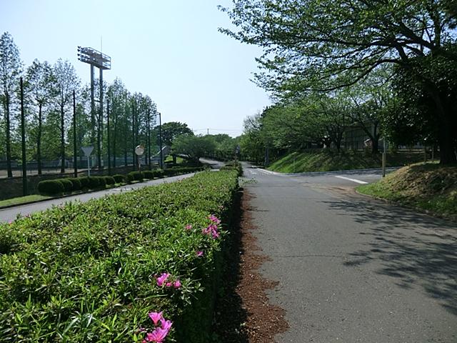 park. 800m until Sakura Sports Park