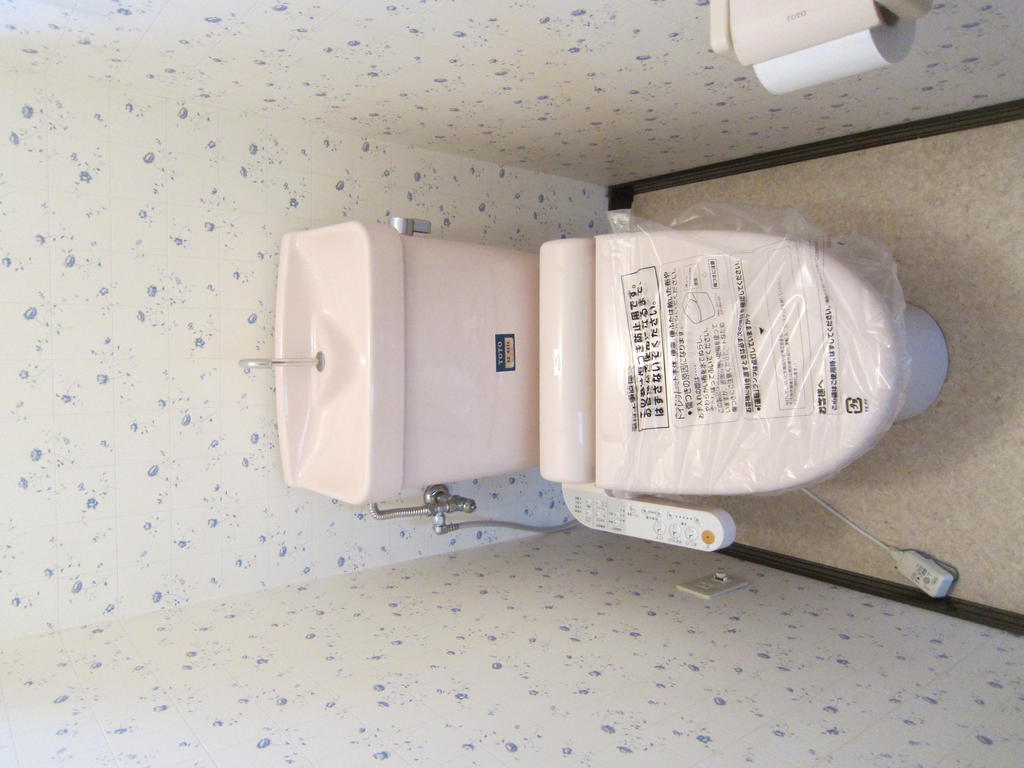 Toilet. It is a new article
