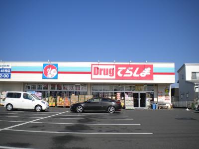 Dorakkusutoa. Drag Terashima Tsukuba Oho shop 703m until (drugstore)