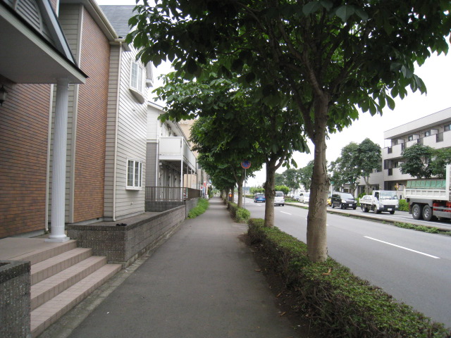 Other. Sidewalk