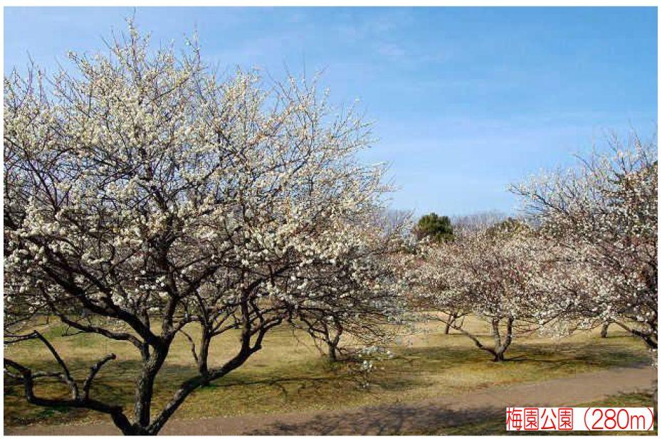 park. 280m to Meiyuan Park