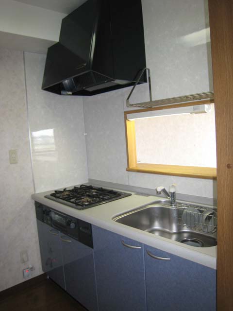 Kitchen. System kitchen Face-to-face kitchen