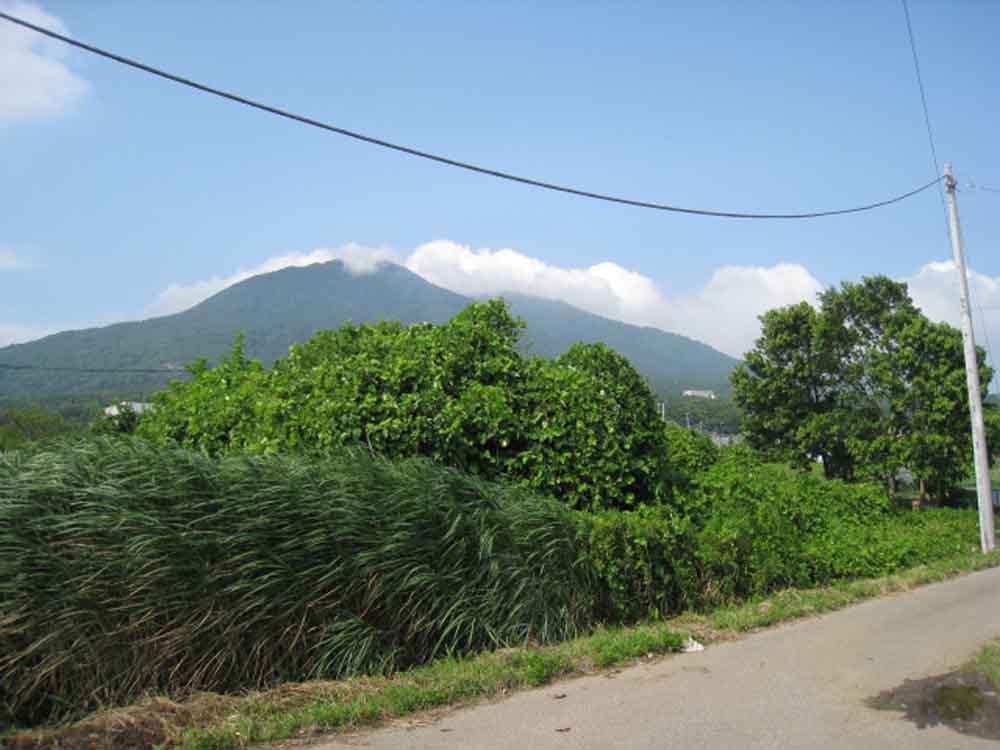 Local land photo. Site 183 square meters