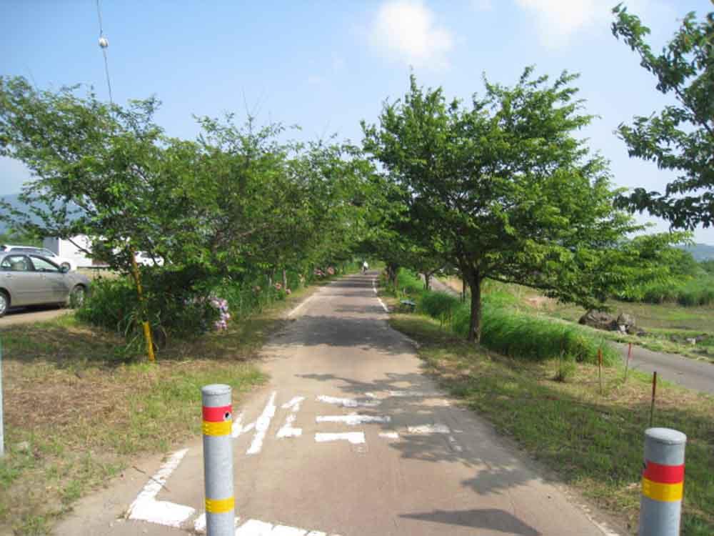 Other local. Rinrin load (pedestrian ・ Bicycle road)