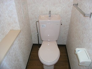 Toilet