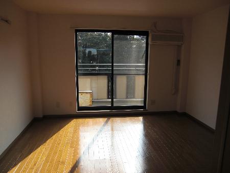 Living and room. South-facing bright living