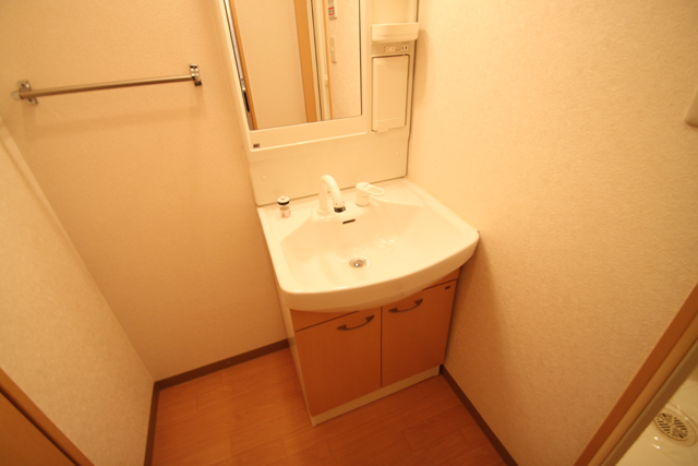 Washroom. A shower wash basin