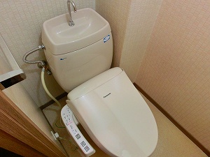 Toilet. With warm water washing toilet seat