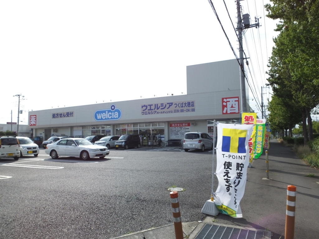 Dorakkusutoa. Drag Terashima Tsukuba Oho shop 1206m until (drugstore)