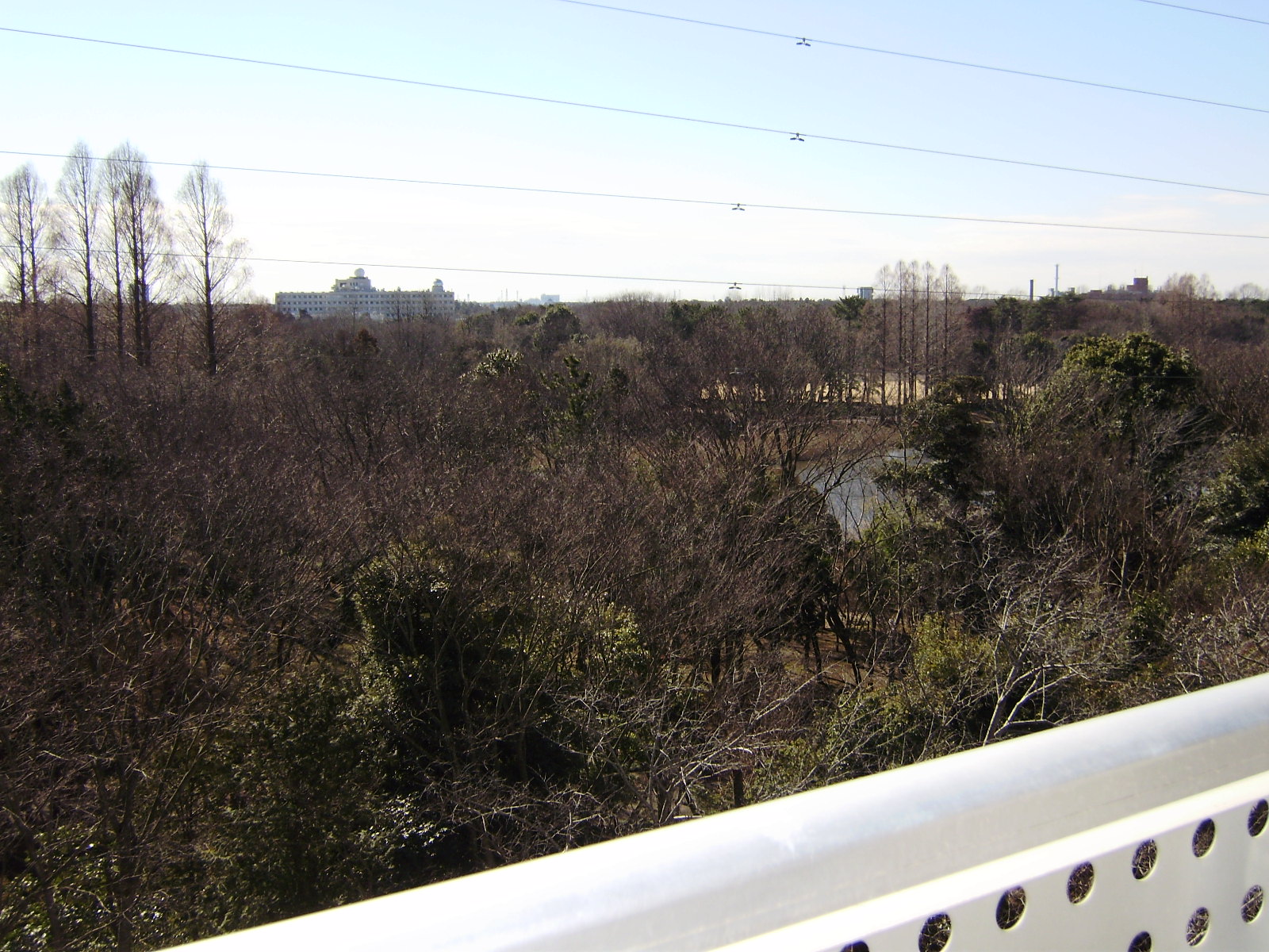 Balcony. View from the balcony (Horagamine park)