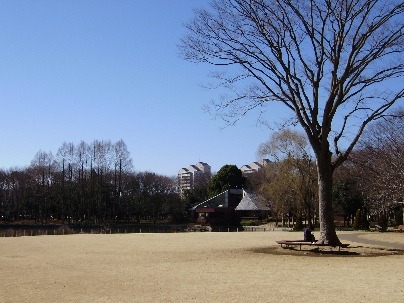 Other. Horagamine park