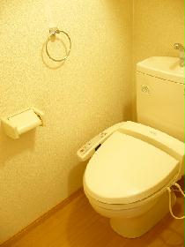 Toilet. It is with warm water washing toilet seat. There is a shelf in the upper. 