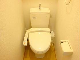 Toilet. With warm water washing toilet seat. There is a shelf in the upper. 
