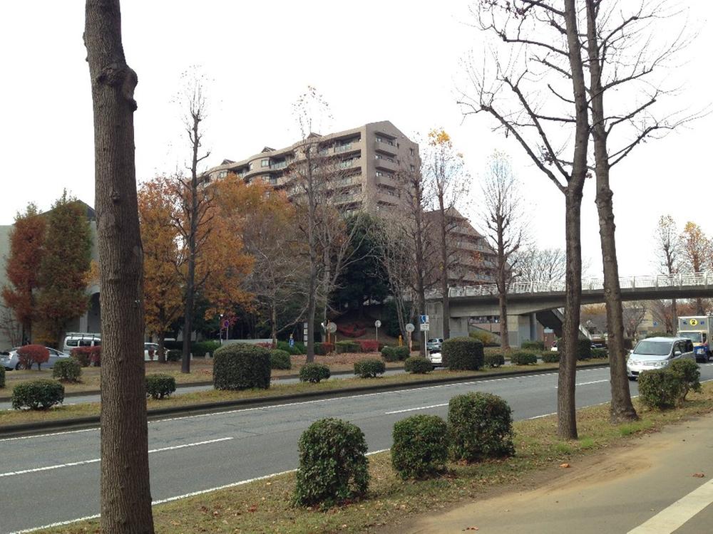 Local appearance photo. From Nishiodori