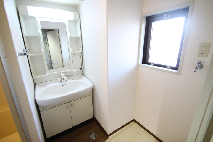 Washroom. A shower wash basin