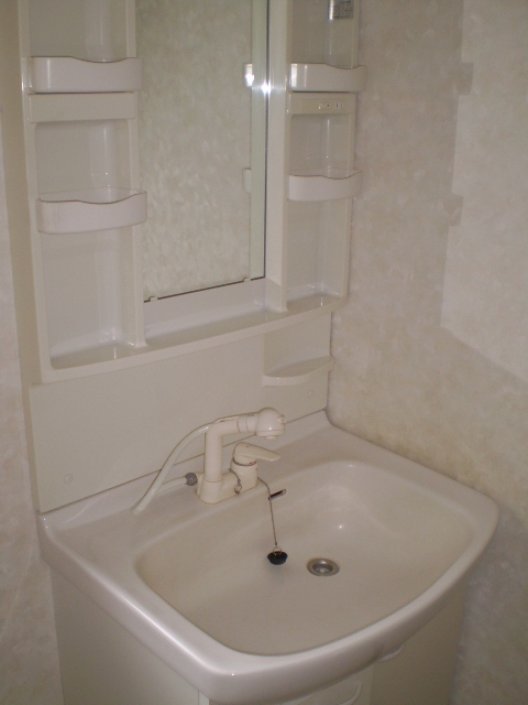 Washroom. Shampoo dresser installation!