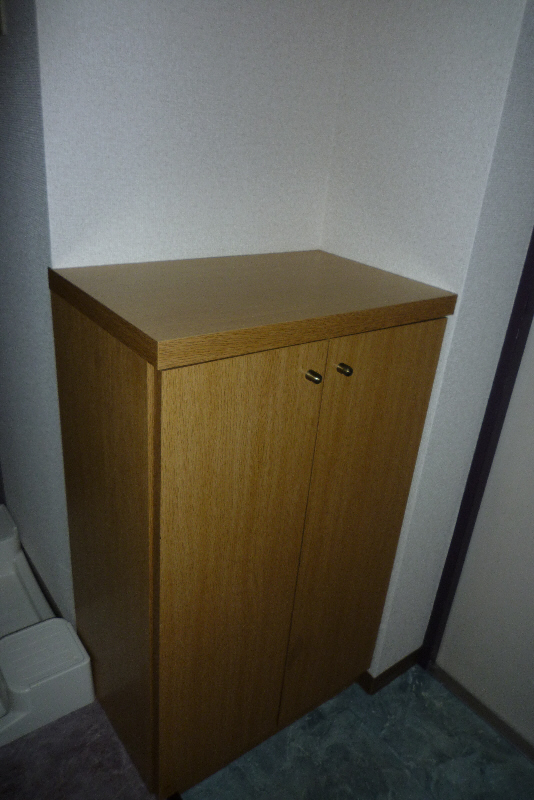 Entrance. Cupboard