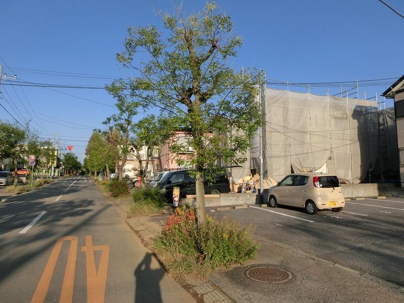 Local photos, including front road