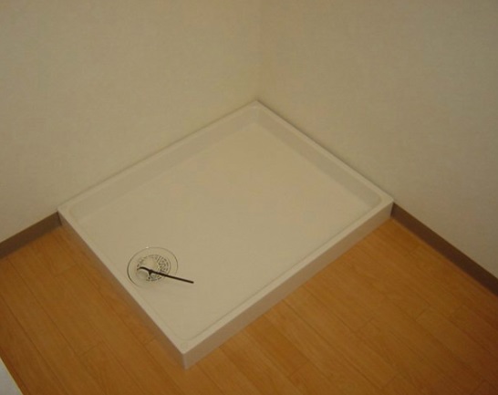 Washroom. Indoor Laundry Storage