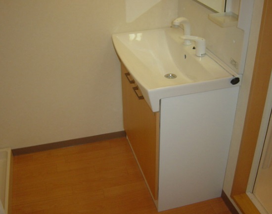Washroom. Washbasin with shower