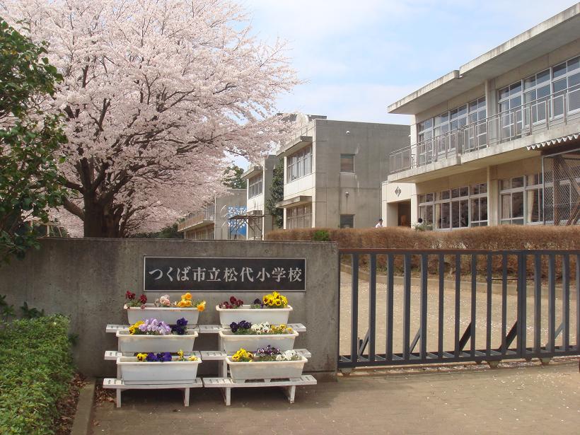 Primary school. 210m to Tsukuba City Minami Teshirogi Elementary School (Elementary School)