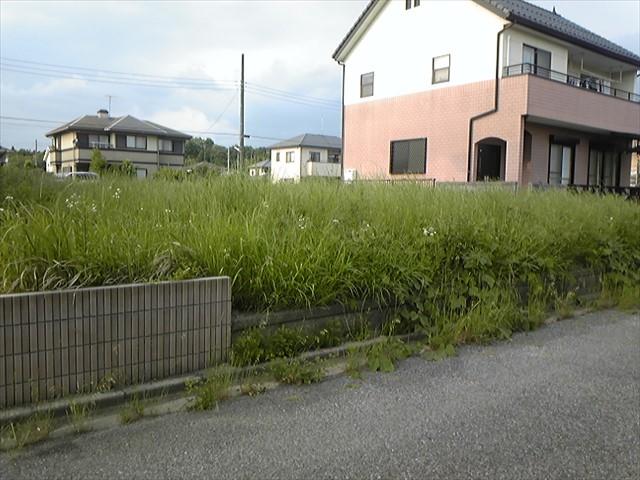 Local land photo