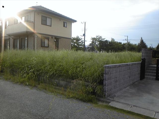 Local land photo