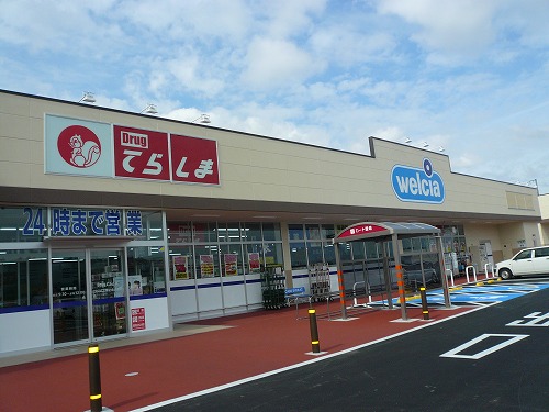 Dorakkusutoa. Drag Terashima Tsukuba Expo Memorial Park Station shop 277m until (drugstore)