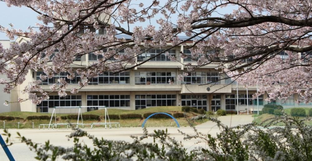 Primary school. Tsukubamirai Municipal Kokinu to elementary school 498m
