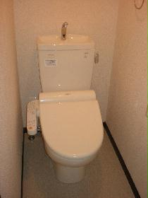 Toilet. With popular warm water washing toilet seat