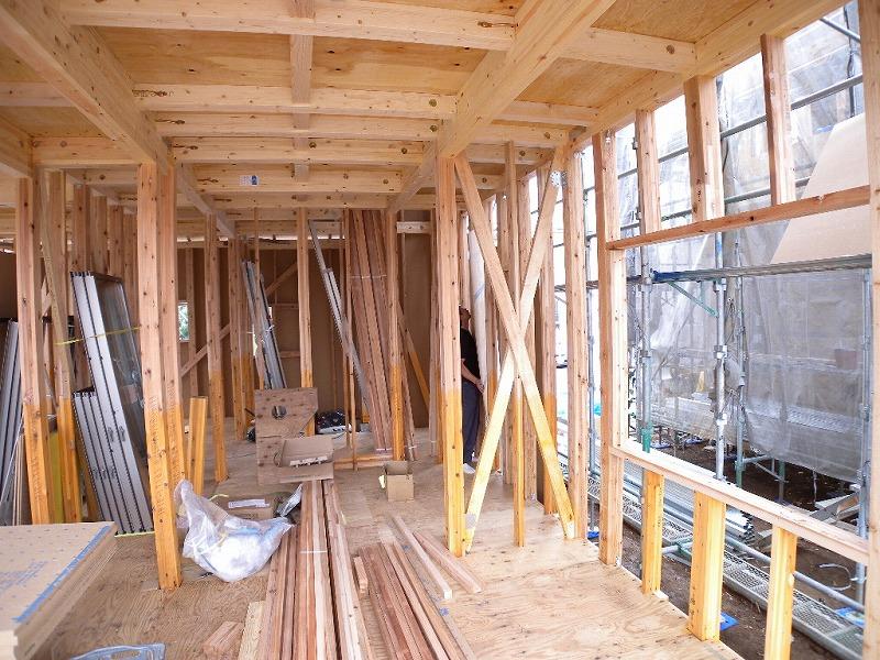 Other introspection. Local (11 May 2013) Shooting