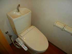 Other. Metroid II toilet